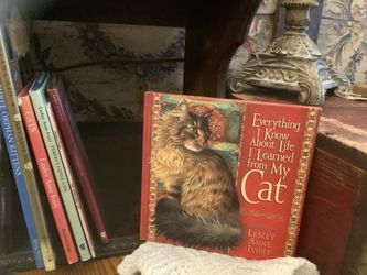 7 vintage cat kitten books Ivory Wise Brown