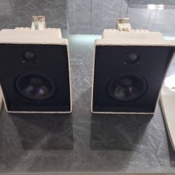 Infiniti Outrigger Indoor/Outdoor Speakers
