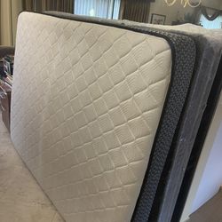 Great Shape Queen Mattress Comes With In Plastic Brand New Box Spring