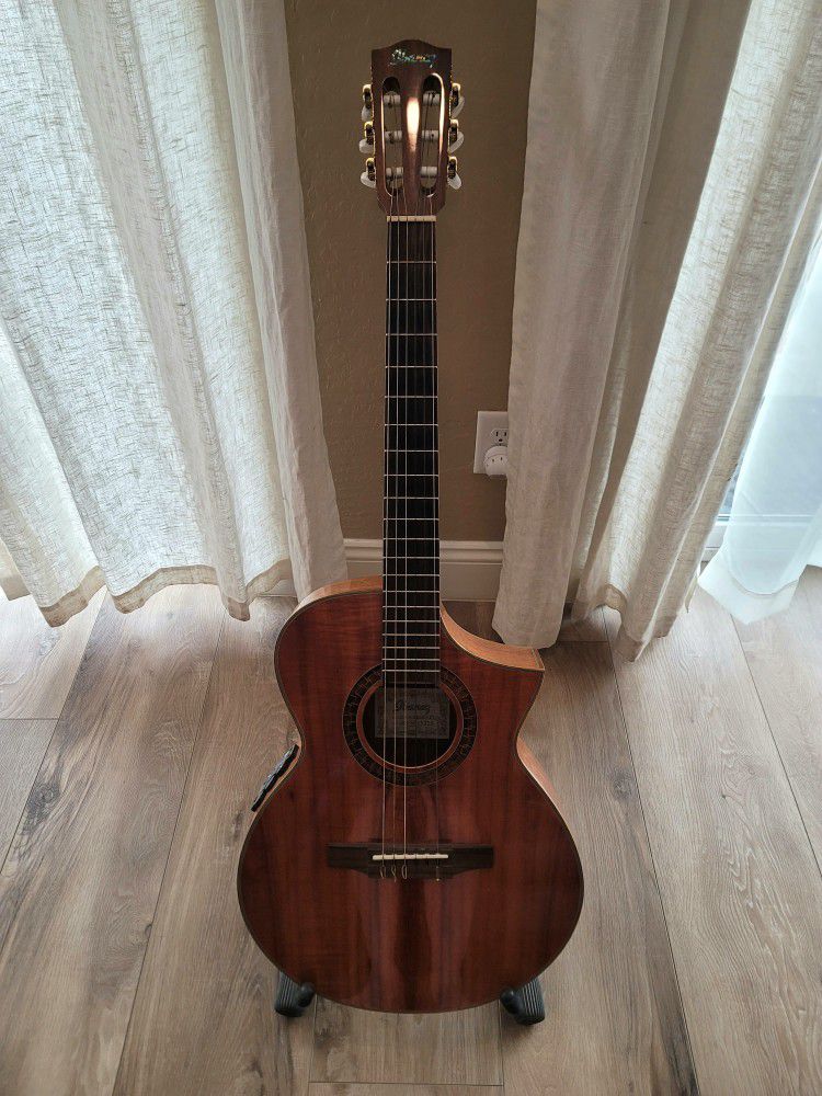 Ibanez exotic wood nylon string acoustic electric guitar with Hard Case
