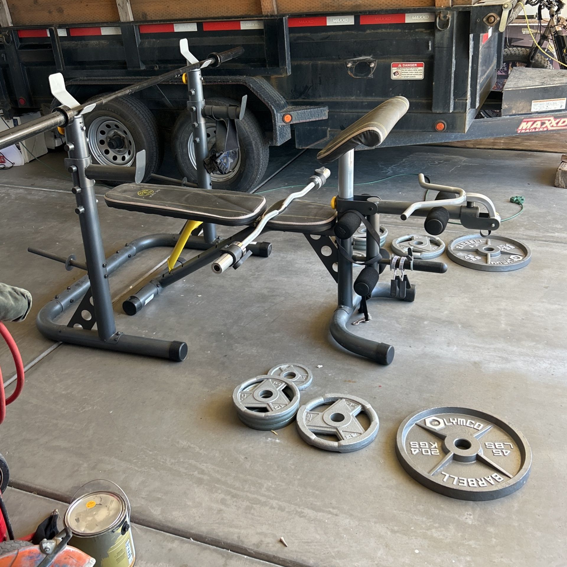 Weights With Olympic Bar And Curl Bar, Bench, Press, Squat, Press, Gold, Jim, Xrs20