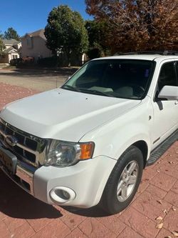 2008 Ford Escape