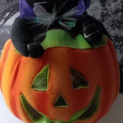 HALLOWEEN  FIBER OPTIC CAT WITH MASK