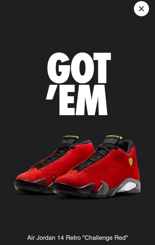 Air Jordan 14 Ferrari