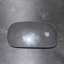 Apple Mouse 