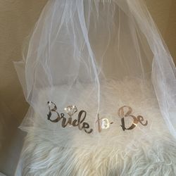 Bride To Be Veil