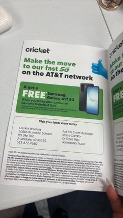 Cricket