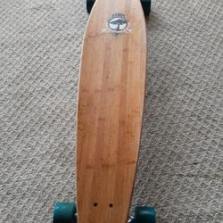 arbor brand skateboard in the photo is the model the brand and the big