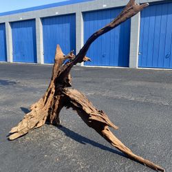 Assorted Natural driftwood for Aquarium tanks decor, Ponds/ Succulent arrangement, Home decor 8/lb