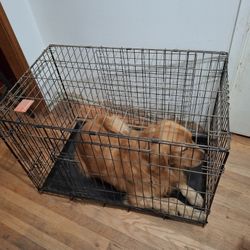 Dog Crate