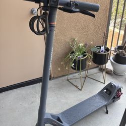 Phantom Go Go Scooter