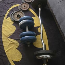 Curl Bars With Weights