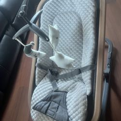 Baby Bouncer