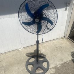 Fan