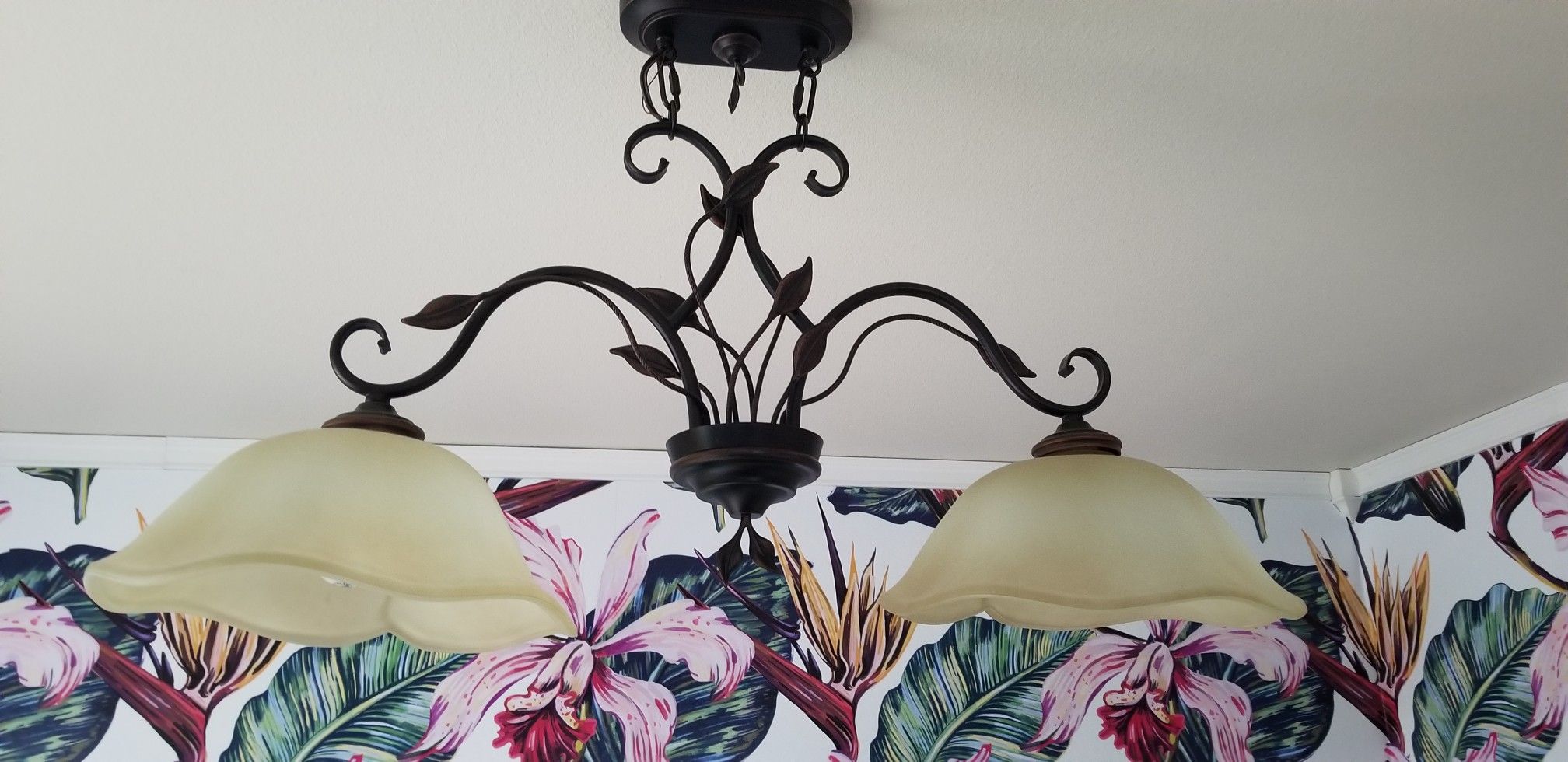 Light fixture, dining room light