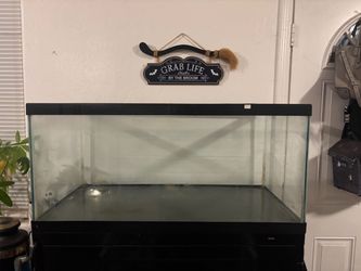 40 Gallon tank