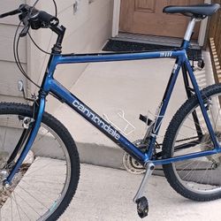 Cannondale SM 600