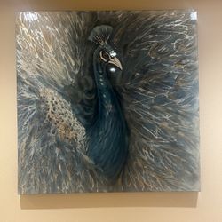 Peacock Art