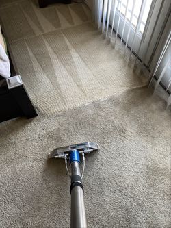 Steam Carpet Cleaner