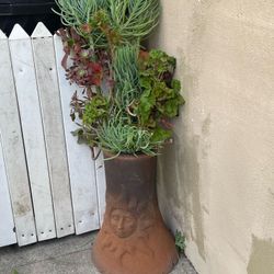 Beautiful succulent arrangement with decorative pot  (apx 3-4 feet tall)
