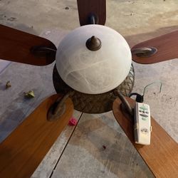 Fan