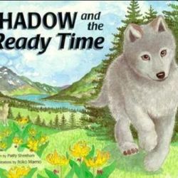 Shadow and the Ready Time by Patty Sheehan book kids children's read literature