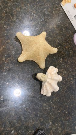 Beach Wall Plug And Star Fish Decoration