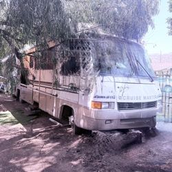 1996 George Boy Cruiser