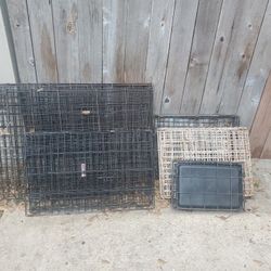 Dog Cages