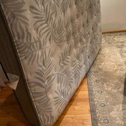 Free Full Size Mattress