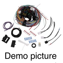 JDMSPEED Universal 21 Circuit Wiring Harness For Chevy Mopar Ford Hotrods Long Wires