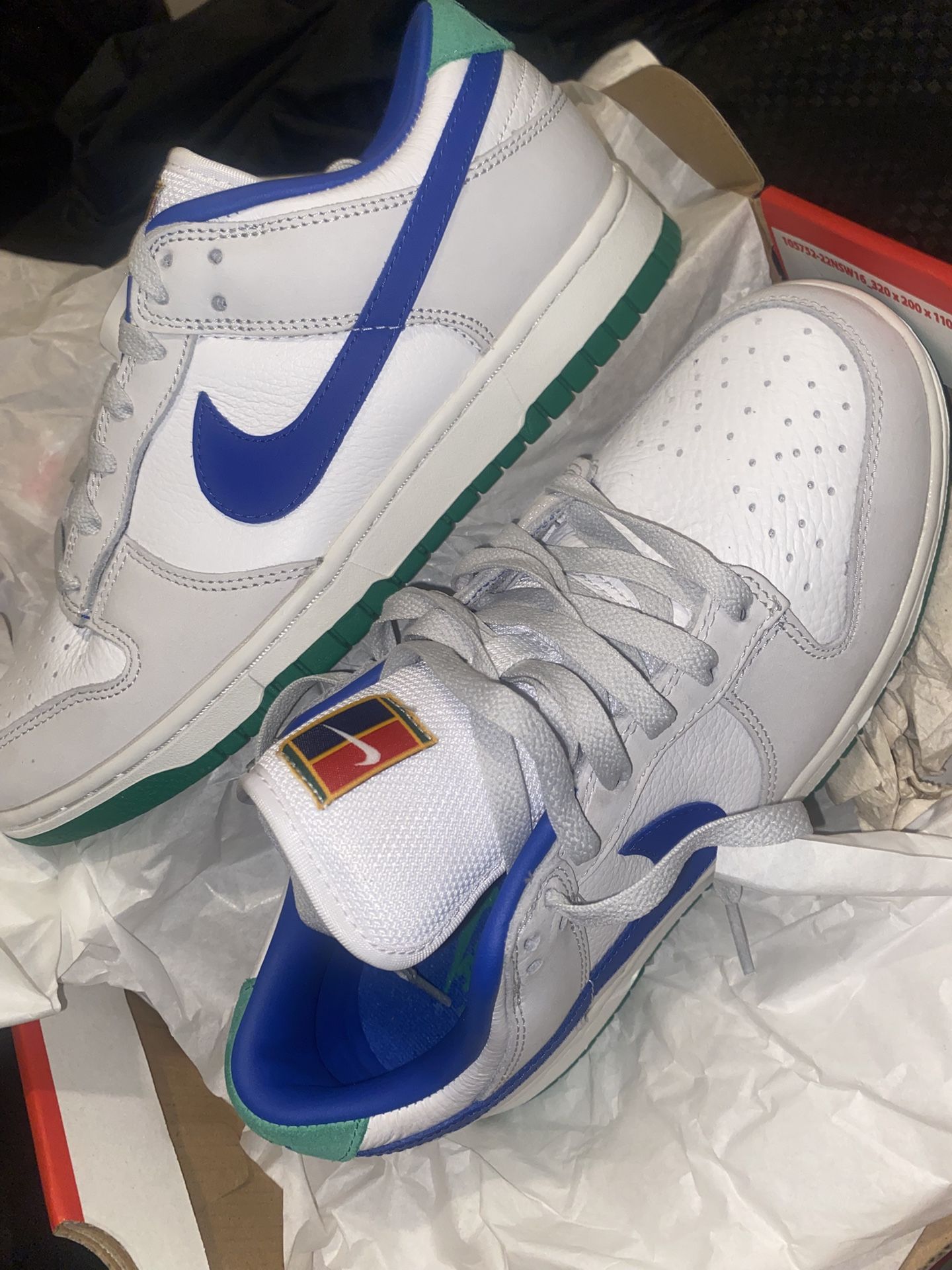 Size 9 Nike Dunk Low
