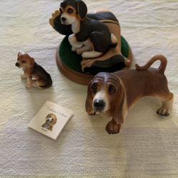 Beagle/ Basset Status 