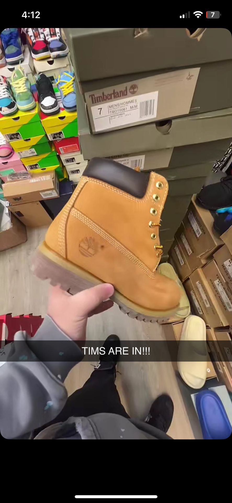 timberlands