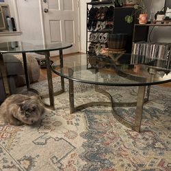 Set Of Coffee Tables (2)