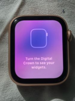 Apple Watch Series 6 44mm