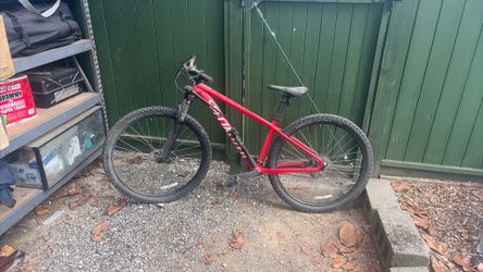 Mountain Bike (Specializer)