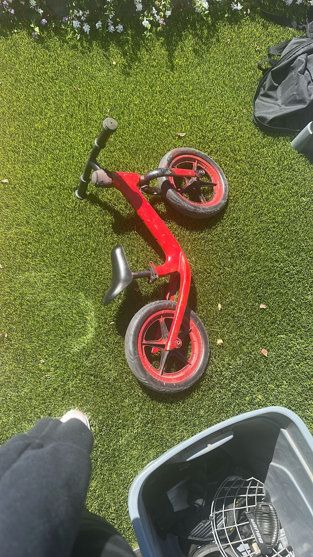 Strider Toddler Bike
