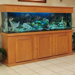 135 Gallon Fish Tank Premium Tempered Ultra Clear Glass 