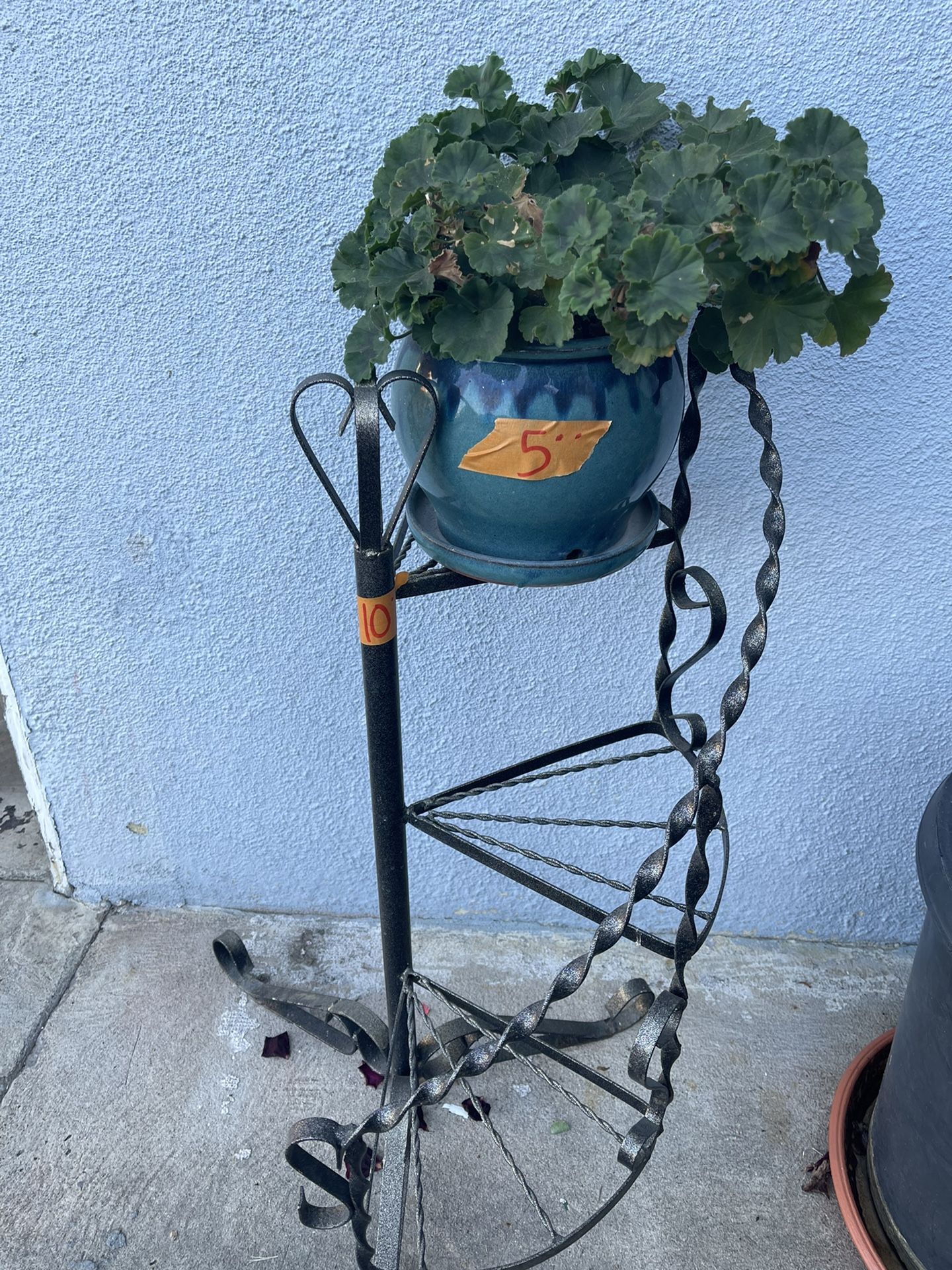 Pots With Plants