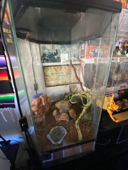 Glass tank enclosure with accessories