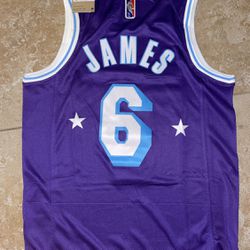 Los Angeles Lakers LeBron James Purple Jersey - City