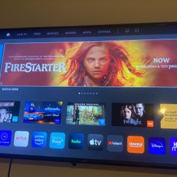 Vizio Smart Tv