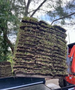 Pallets Of St Augustine Grass For Sale