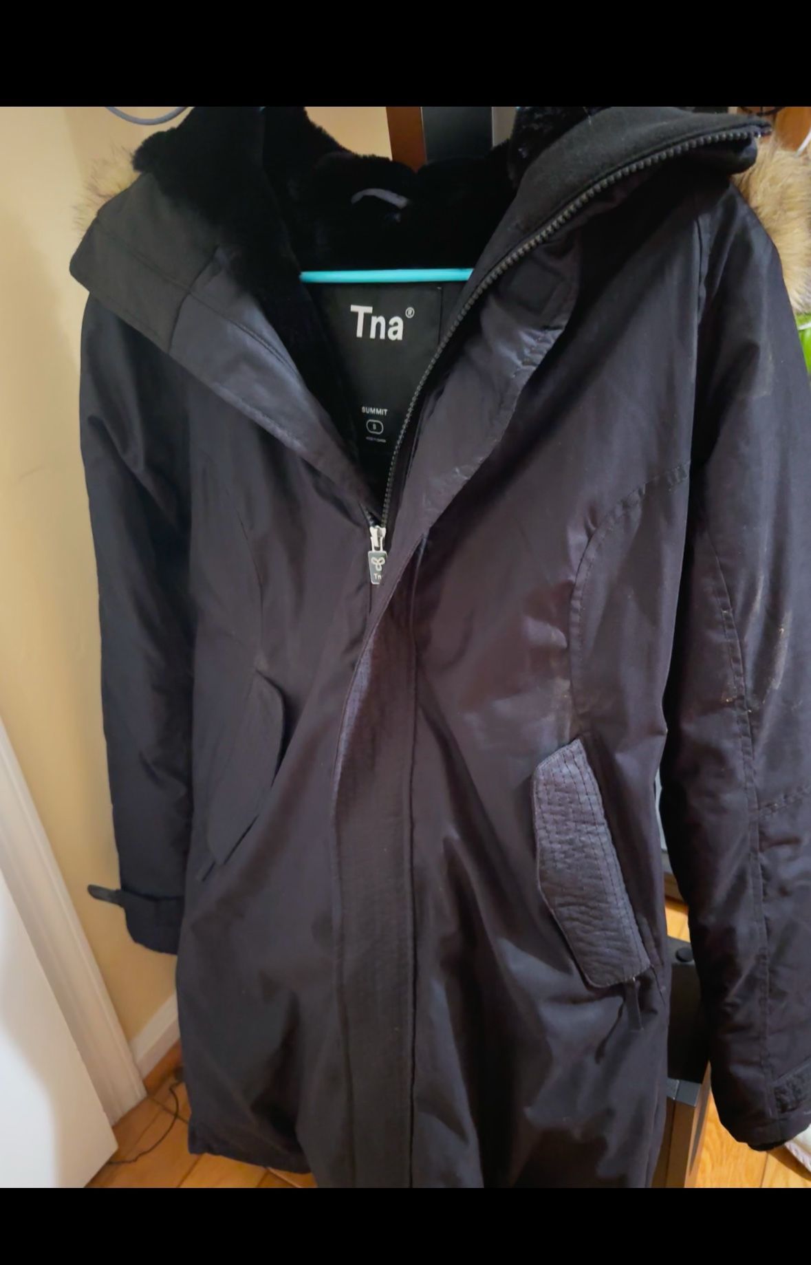 Aritzia Tna Summit Parka