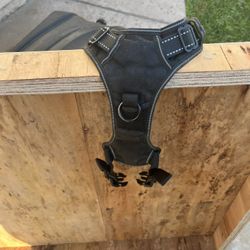 Dog Harness