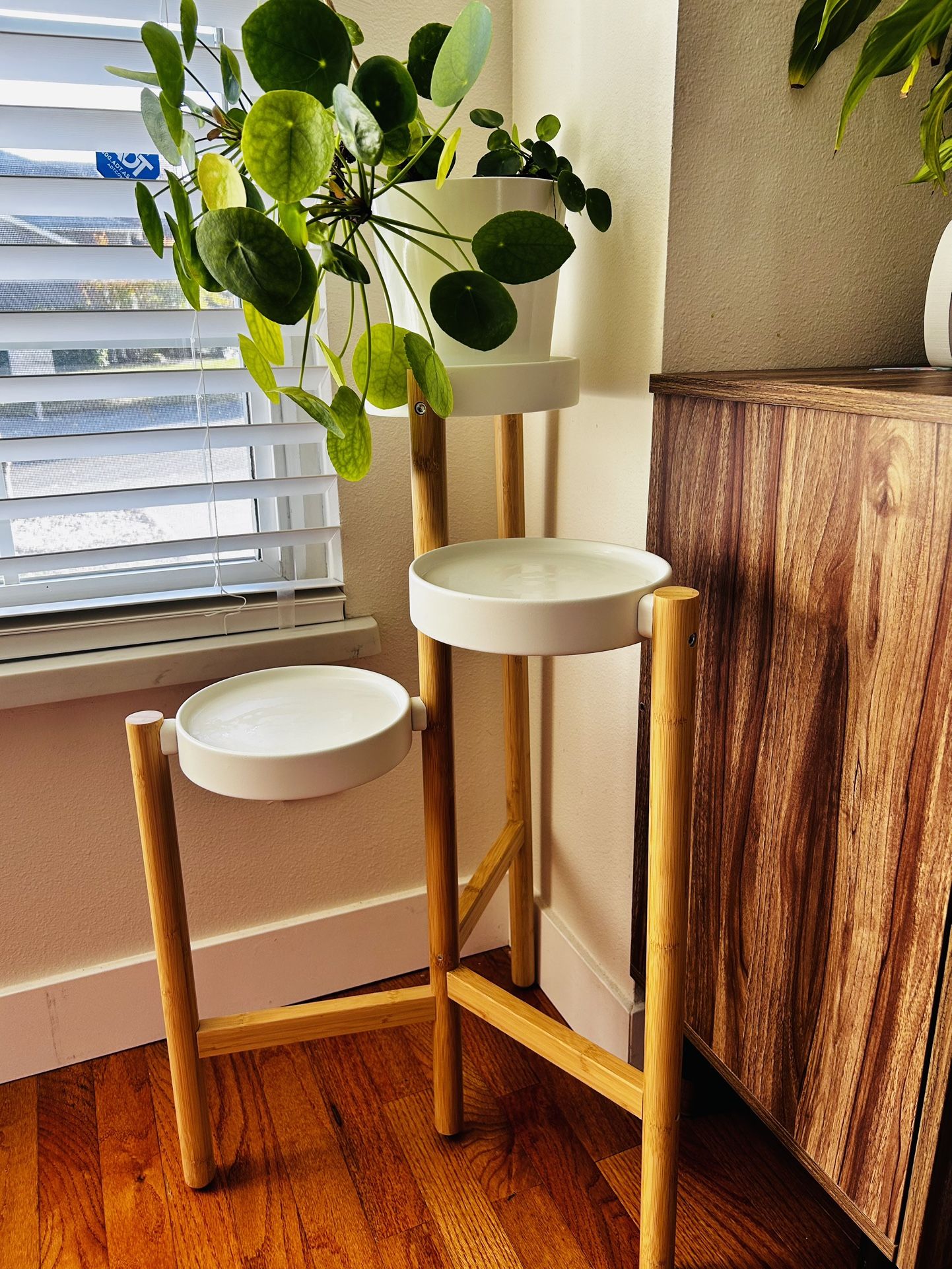 Plant stand