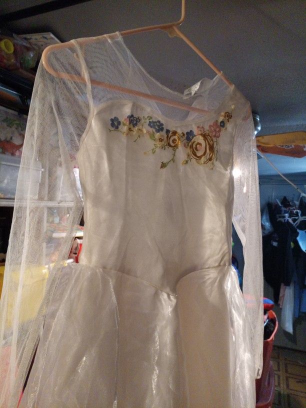 Disney Cinderella Dress Costume