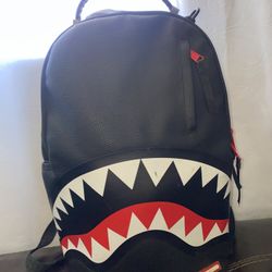Spray Ground Backpack 