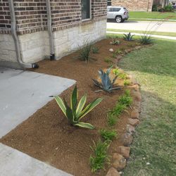 PLANTS, LANDSCAPING, ORGANIC GARDENS, FLOWER BEDS